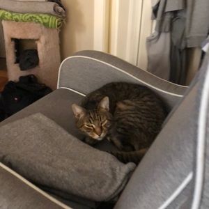 Meet your Posher, Peter